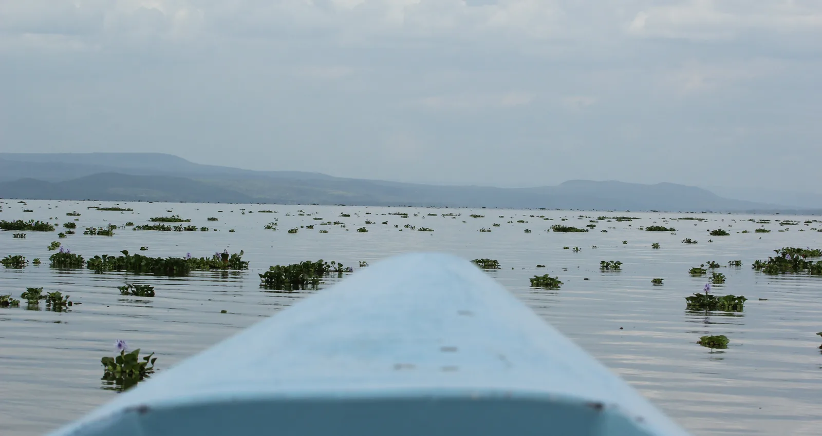 Boat on Lake Naivasha.jpg