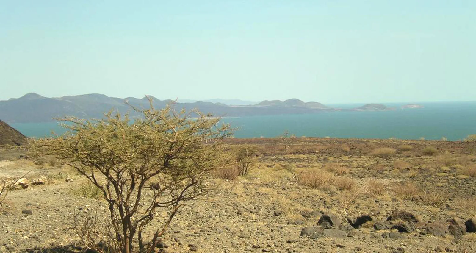 Lake turkana.jpg