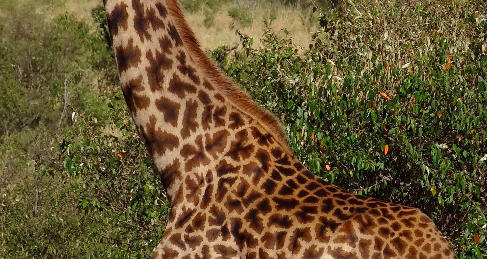 12-Day Kenya Highlights