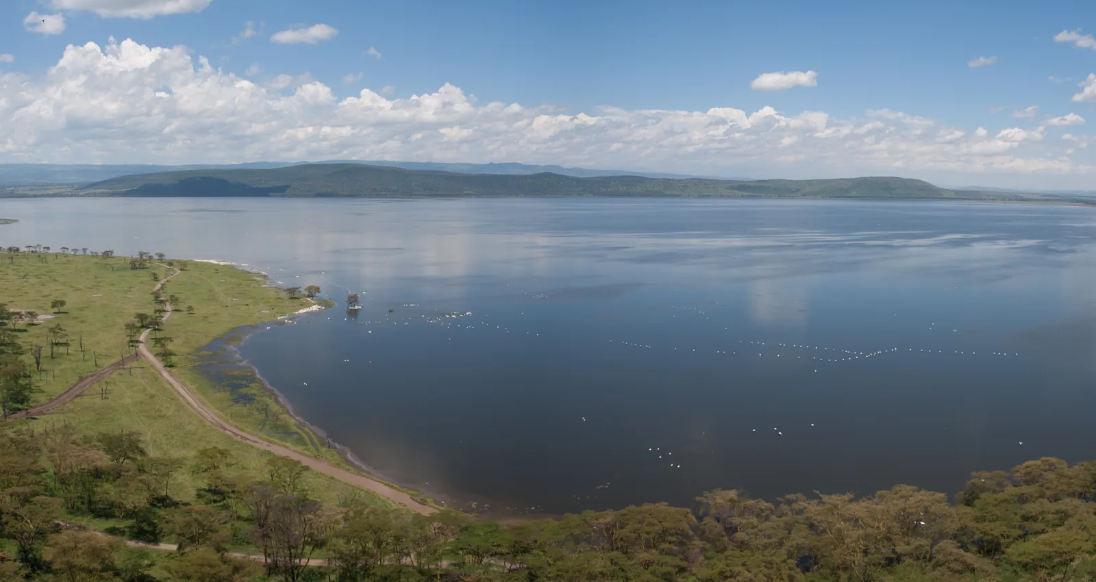 Naivasha lake.jpg