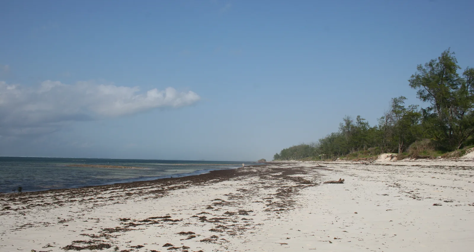 Kenya Coast