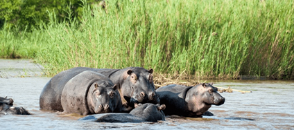 Burundi Safaris