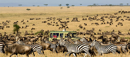 Tanzania safaris
