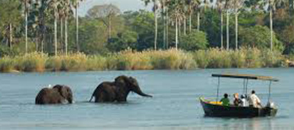 Mala Safaris
