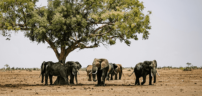 ten days tour safari in kenya