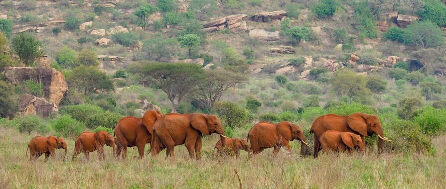 2 days tour in Tsavo National Park